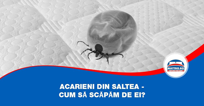 Acarieni din saltea - cum să scăpăm de ei?