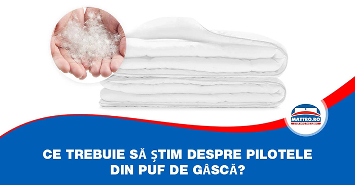 Ce trebuie să știm despre pilotele din puf de gâscă?